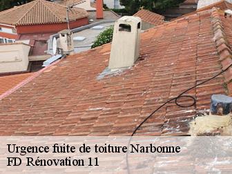 Entreprise de r\u00e9paration, urgence fuite toiture \u00e0 Narbonne tel: 04.82.29.35.37