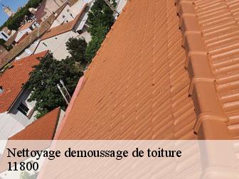 Nettoyage demoussage de toiture  aigues-vives-11800 FD Rénovation 11